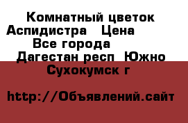Комнатный цветок Аспидистра › Цена ­ 150 - Все города  »    . Дагестан респ.,Южно-Сухокумск г.